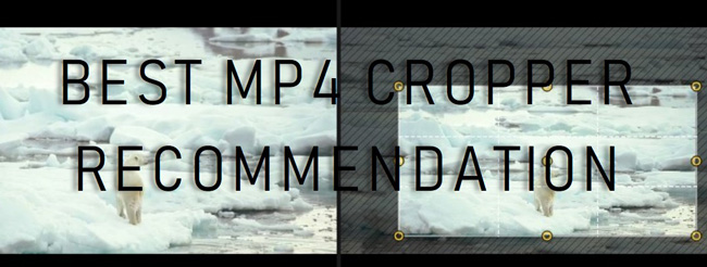 mp4 cropper