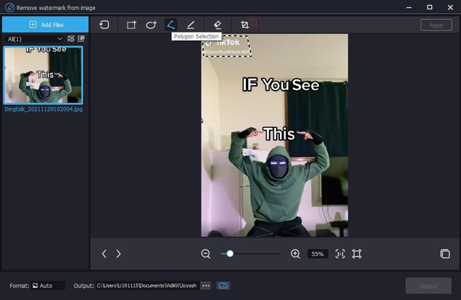 how to remove watermark from picture with joyoshare vidikit