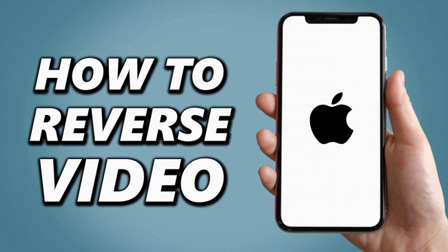 how to reverse a video on iphone