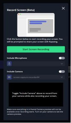 kapwing online screen recorder presets