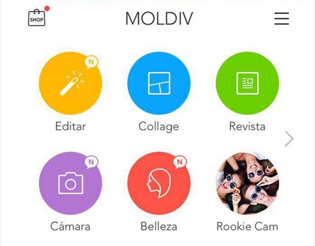 moldiv