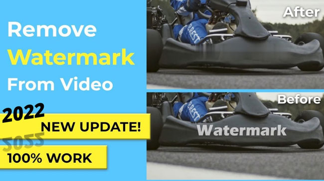 how to remove watermark from video for mac and windows