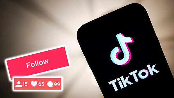 tiktok follower