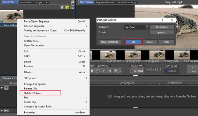 videopad video stabilization software