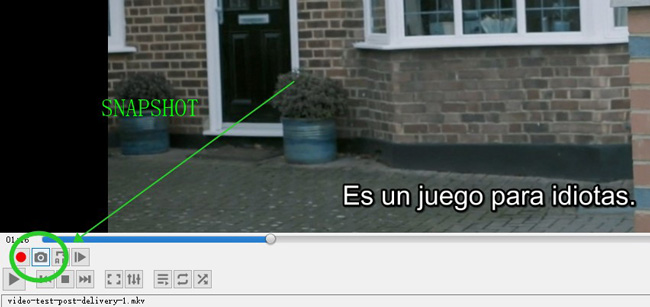 take a snapshot from video by vlc