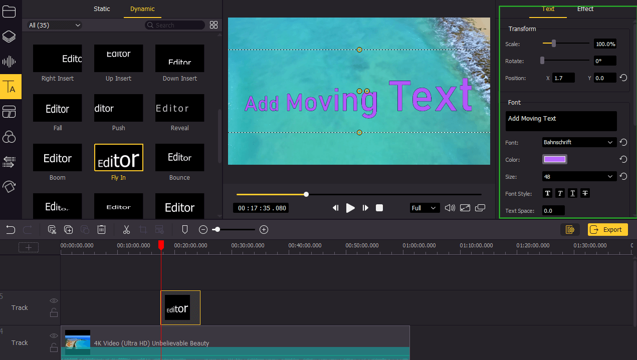 text in videmake