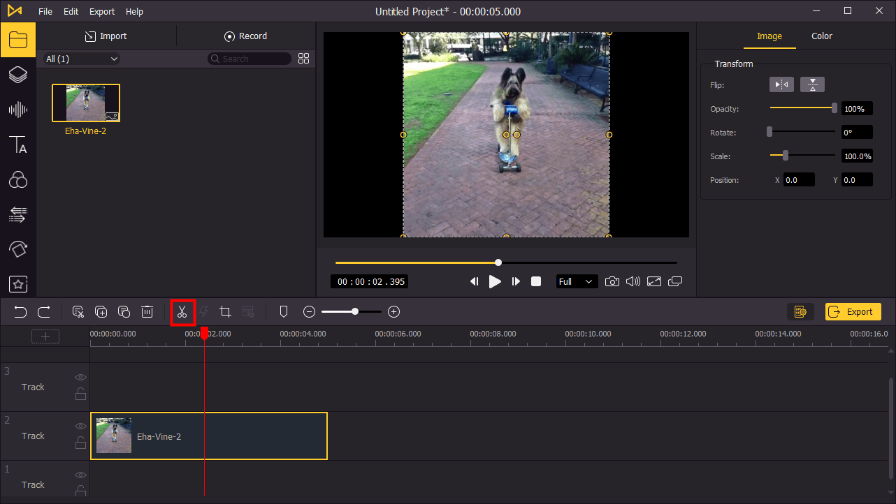 trim your video